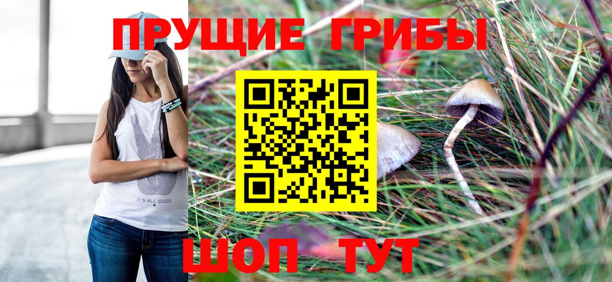 Галлюциногенные грибы Magic Shrooms  Вход с VPN  Электрогорск  Псилоцибиновые грибы Psilocybe 